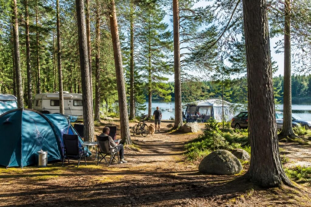 découvrez pourquoi le camping sous les grands pins est l'endroit idéal pour les amoureux de nature et de calme, offrant un cadre paisible au cœur d'une forêt de pins majestueux.